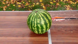 Wassermelone1