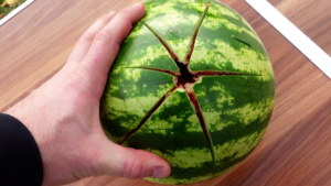 Wassermelone2